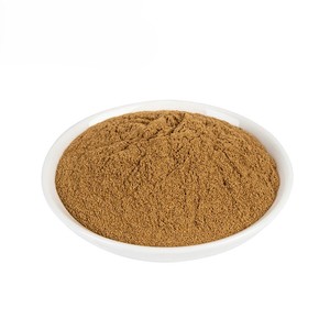 100% Original Bulk Supply Barley Extract 10:1 Powder Natural Herbal Food Grade Hordeum Vulgare Powder Bulk Supply from India - Product Image 4