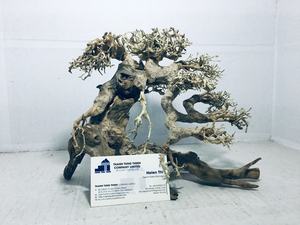 Nuevo artículo: Madera flotante para reptiles, ramas de madera flotante para paisajismo de acuarios, decoración de peceras de madera de Vietnam para mayoristas. - Product Image 6