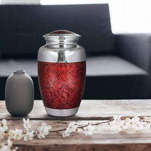 Red Jar Pet Cremation <b>Urn</b> Stainless Steel Airtight Memorial Keepsake for Dogs - Product Image 2