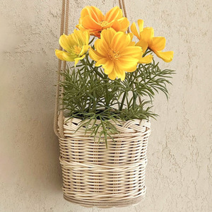 Accesorios de jardín a bajo precio, maceta de ratán tejida a mano, cesta para exhibir plantas verdes. - Product Image 1