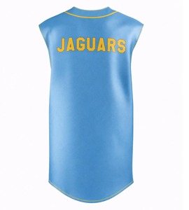 Venta al por mayor de ropa de la Universidad del Sur de HBCU y la Universidad Agrónoma y Comercial, lista para enviar, camiseta de béisbol sin mangas bordada, chaleco de softbol. - Product Image 2