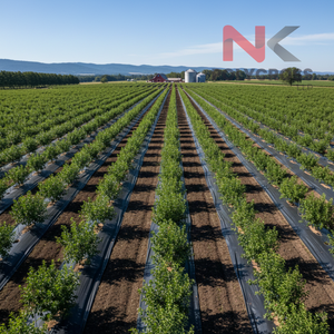 Bâche de protection UV haute densité pour verger, grande bâche extérieure pour la protection des récoltes de fruits et les besoins agricoles - Product Image 5