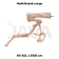 Perchoir pour oiseaux en bois de café naturel Javawoood, écologique, durable, de haute qualité, à plusieurs branches, en provenance d'Indonésie, taille L