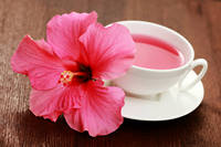 Fabricants de thé aux fleurs d'hibiscus Rosa Sinensis au meilleur prix