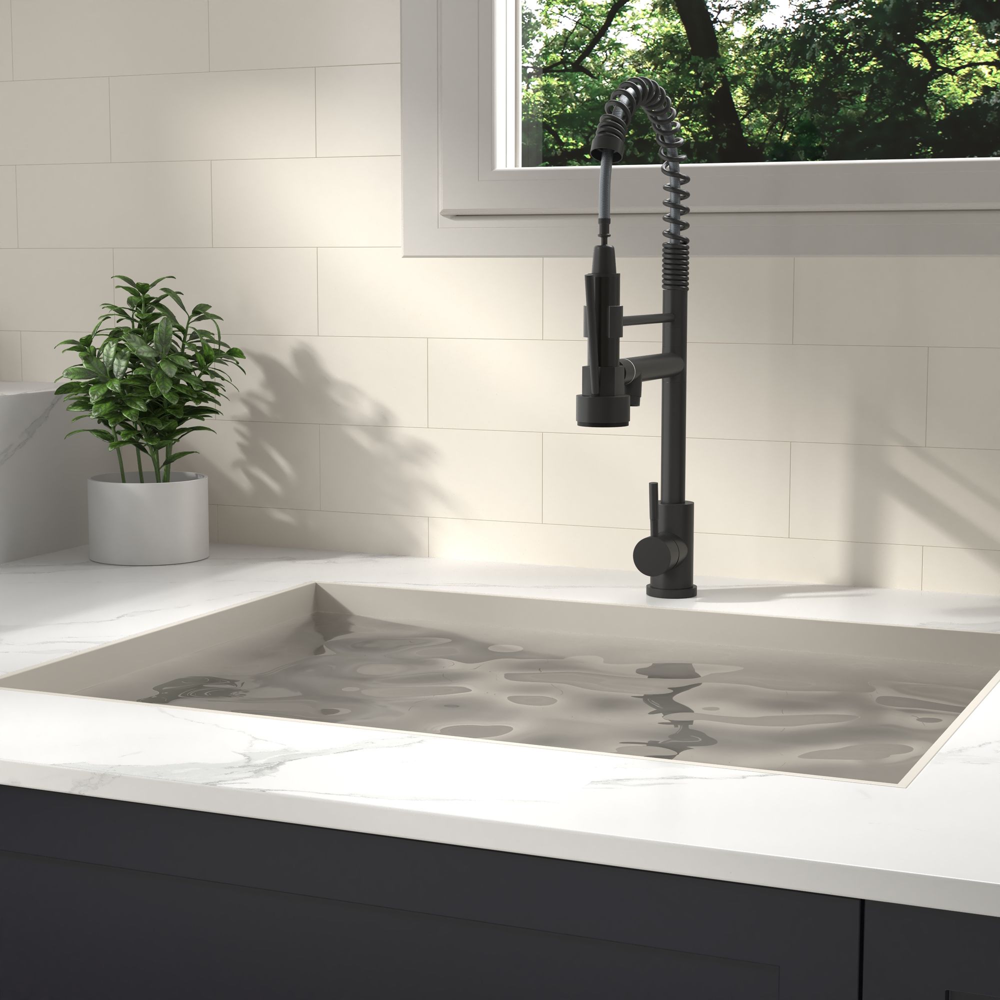 come Colore Immagine