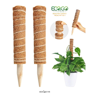 Juego de 4 Postes de Musgo de Coco Biodegradables |   Varillas de Soporte para Plantas de Fibra de Coco de Tamaño Personalizado para Plantas Trepadoras - Product Image 4