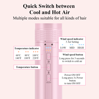 Sèche-cheveux à air chaud 5-en-1 interchangeable, moteur BLDC DC 110000 tr/min, ionique, pour hôtels et usage domestique, prix usine