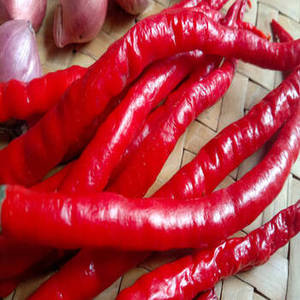 Nueva Temporada de Chiles Rojos Indios Enteros, Cápsulas Secas Seleccionadas para Importadores Internacionales que Buscan una Solución Confiable para la Adquisición de Especias al por Mayor - Product Image 4