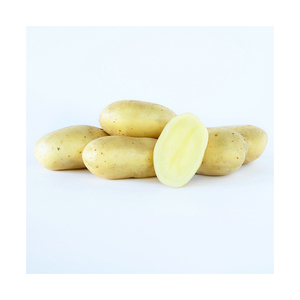 Best Quality <b>Fresh</b> Potato/<b>Vegetable</b> Potatoes Grade A - Wholesale/Bulk - Product Image 1