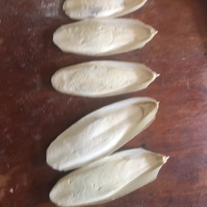 ผงกระดูกปลาหมึกธรรมชาติสำหรับนก อาหารเสริมแคลเซียมสูง ผู้จัดจำหน่ายและผู้ค้าสำหรับอุตสาหกรรมสัตว์เลี้ยง 22 - Product Image 5