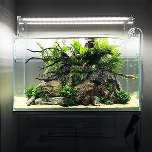 Ornement aquatique en bois flotté naturel pour reptiles et aquariums, décoration en bois classique, écologique, fabriqué au Vietnam - Product Image 2
