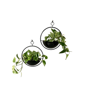 Ensemble de jardinières suspendues en métal, support à plantes moderne en fer noir, pots de fleurs d'intérieur, décoration de la maison, jardin vertical, utilisation au bureau - Product Image 3