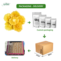 Hoge Kwaliteit Vietnam Geteelde Zachte Gedroogde Ananas Lage Suiker Zoete Smaak Fruit In Bulk