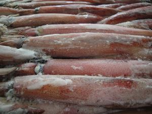 Tiras de Calamar Gigante Congeladas de Primera Calidad - Productos de Mariscos B2B Más Vendidos - Product Image 2