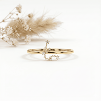 Bague Zodiaque Verseau Certifiée IGI DEF VVS HPHT CVD Or Janvier Février Vision Manifestation Bestseller Cadeau