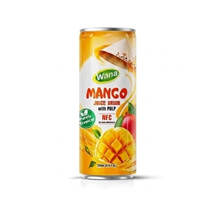 Jugo de Sandía Premium con Pulpa, Bebida Lista para Beber en Lata de 250 ml, OEM, Marca Privada para Distribuidores y Propietarios de Marcas - Product Image 4