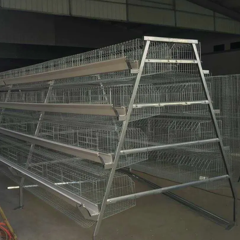 Long service life hot-dip zinc A type battery cage chicken house