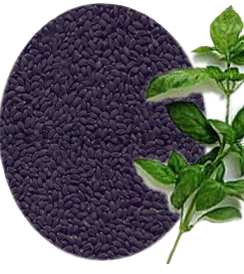 Basil in Bulk for Sale