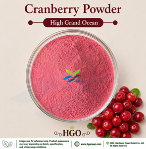 Approvisionnement direct d'usine HGO de poudre de canneberge pure naturelle (qualité alimentaire) – Poudre de fruits séchée par pulvérisation ou lyophilisée - Product Image 1