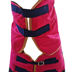 <b>Winter</b> Horse Turnout Horse Rugs Horse <b>Blanket</b> with Detachable Neck Cover Waterproof <b>Blanket</b> Quilted Padded Liner - Product Image 2