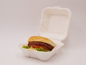 Eco Friendly Sugarcane Clamshell Box 6x6 Inch Compostable Lunch Packaging <b>Container</b> for Burgers and Snacks <b>Takeaway</b> Delivery Use - Product Image 1