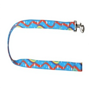 Premium <b>Pet</b> Training Leash with Reinforced Stitching and Grip from Divine International - Product Image 1