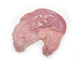 Estomac de Porc Congelé Dégraissé Nettoyé Lavé Vente en Gros Qualité Supérieure Estomac de Porc Congelé pour l'Exportation - Product Image 1