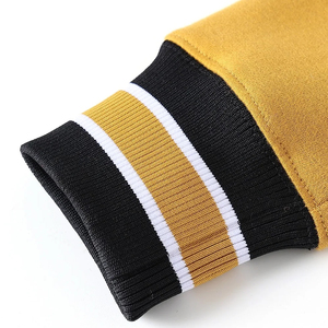 Sweat-shirt jaune à col rond pour homme Sorority Alpha |   Phi |   Alpha Regular Fit Tricoté en polyester/coton Couleur unie Brodé - Product Image 3
