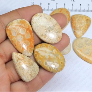 Atractivo Coral Fósil Jaspeado en Formas Variadas, Tamaño Personalizable, Cabujón de Coral Fósil Jaspeado Pulido y Liso, Regalo para Ella - Product Image 5