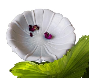 Bol en pierre haut de gamme pour restaurant, bol artisanal fait main, bol d'exportation, bol décoratif élégant pour la maison - Product Image 1