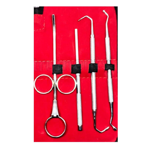 Instrumentos Bone Bridge: Juego de 8 instrumentos para elevación de senos, de acero inoxidable, certificado CE, de alta calidad, de doble punta, para implantes dentales - Product Image 2