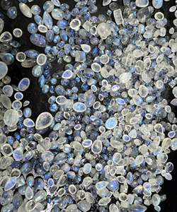 Pierres précieuses en vrac de pierre de lune arc-en-ciel naturelle, multi-reflets, lisses, formes variées, 3 kg, pour la fabrication de bijoux, vente en gros, RUBY GEMS Rajasthan - Product Image 2