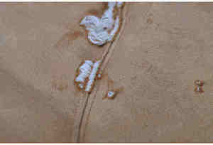 Sudadera con Capucha Antibacteriana, Sostenible, con Efecto Desgastado por el Sol, de Algodón Grueso, Corte Holgado, Unisex, Informal, Moderna - Product Image 5
