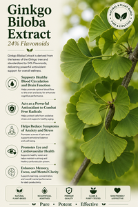 Fourniture directe d'usine HGO d'extrait de Ginkgo Biloba naturel pur (qualité alimentaire santé) 24% flavonoïdes (extrait standardisé) - Product Image 2