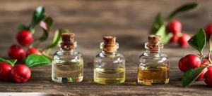 Venta directa del fabricante, aceite esencial de Wintergreen, botella silvestre cultivada pura y naturalmente empaquetada por exportadores - Product Image 4