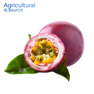 Fruta de La pasión de alta calidad-Fruta de la Pasión aromática de calidad de Vietnam llena de fibra-Para tazones de desayuno de la fábrica de Vietnam - Product Image 3