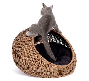 Artex Hai Nam Handwoven Eco-Friendly Soft Rattan <b>Portable</b> Pet <b>Bed</b> for Dogs/Cats/Rabbits Removable Washable Cushion All Seasons - Product Image 1