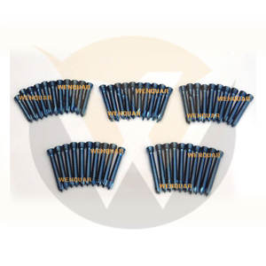 Vis autotaraudeuse à verrouillage en titane bleu de 5,0 mm pour plaques LCP à usage hospitalier, fournisseur professionnel Wenquar - Product Image 2