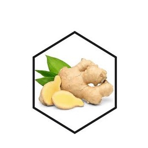 Extrait de racine de gingembre sauvage en poudre, 60% de gingérols, qualité alimentaire, complément alimentaire naturel à base de plantes, 5 kg, provenant d'Inde - Product Image 3