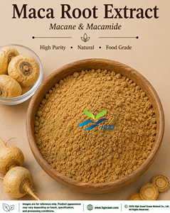 Suministro directo de fábrica HGO de extracto de raíz de Maca natural puro (grado alimenticio) macano y macamida 0.6% - 1.8% (extracto estandarizado) - Product Image 1