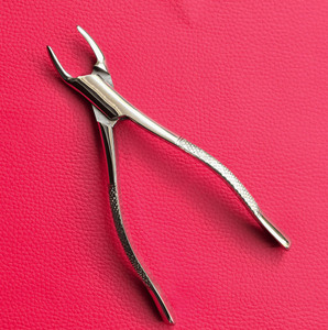 Forceps à dents incurvées de 7 pouces, outil d'extraction dentaire de précision pour les soins équins - Product Image 4