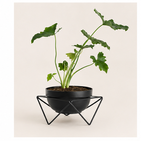 Macetero Metálico Moderno y Minimalista con Soporte Geométrico de Hierro, Estilo Interior, Maceta Redonda para Decoración de Sala de Estar o Escritorio - Product Image 1