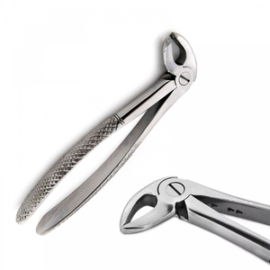 คีมถอนฟัน รุ่น 13S สำหรับฟันกรามล่าง-ฟันหน้า  เครื่องมือผ่าตัด - Product Image 5