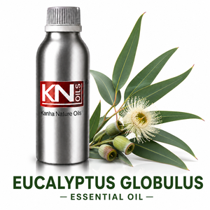 Aceite Esencial de Eucalipto Globulus 100% Puro, Certificado Orgánico, Venta al Por Mayor, Exportación Mundial - Product Image 1