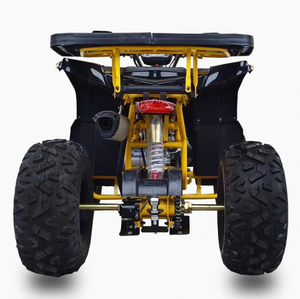 Quad Chithan DIY 200cc 4 temps pour adultes 2026, transmission automatique 2WD/4WD commutable, plastique, garantie 3 ans - Product Image 3