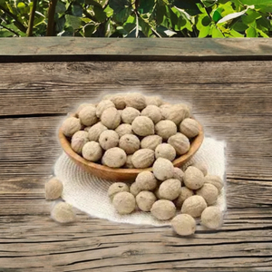 ผลไม้แห้งทั้งลูก ต้นเทอร์มินาลีอา เบลลิริกา (เบฮ์ดา) สมุนไพรอายุรเวท ตากแห้งด้วยแสงแดด จากภูเขาสูงในมณฑลตะวันตกมหาราษฎร์ ประเทศอินเดีย - Product Image 2