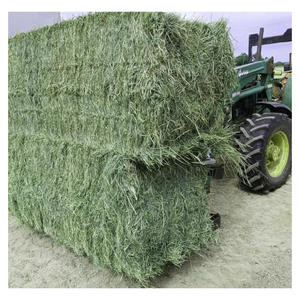 Heno de Alfalfa del Reino Unido para Alimentación Animal, Ganado, Caballos, Vacas, Pollos, Mascotas - Product Image 1