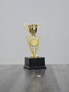 Plastic Trophy with Premium Look for Celebrations and School Events - Product Image 5