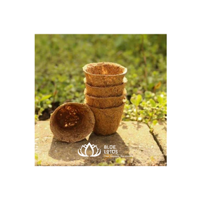 Maceta de Fibra de Coco Natural de Primera Calidad para Plántulas de Vivero y Compradores Mayoristas - Product Image 1