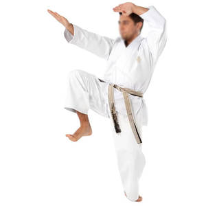 Kimono de Jiu-Jitsu et de Karaté sur mesure à prix avantageux pour adultes, dernier design. - Product Image 3